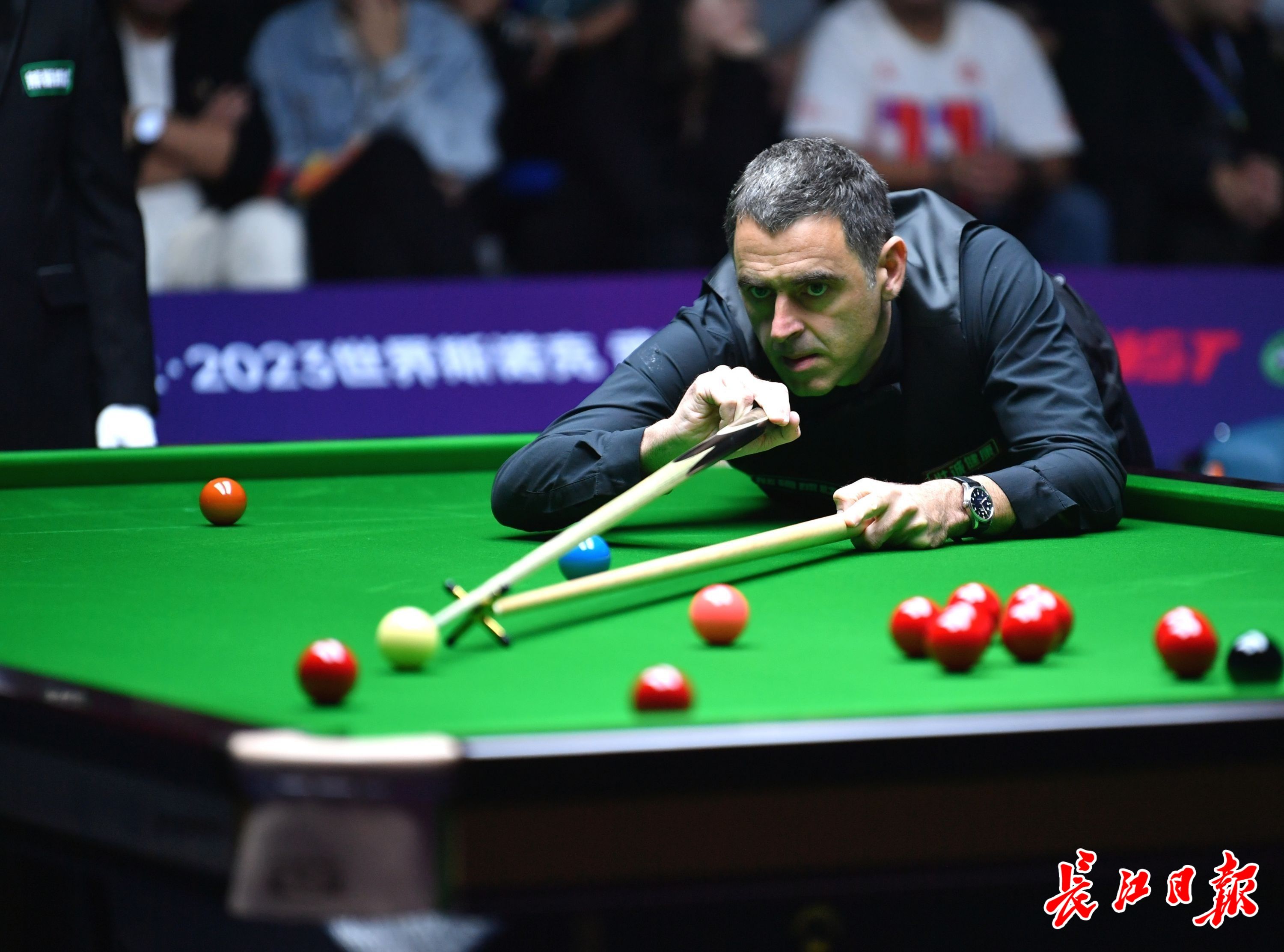 现充满期待 现充满期待