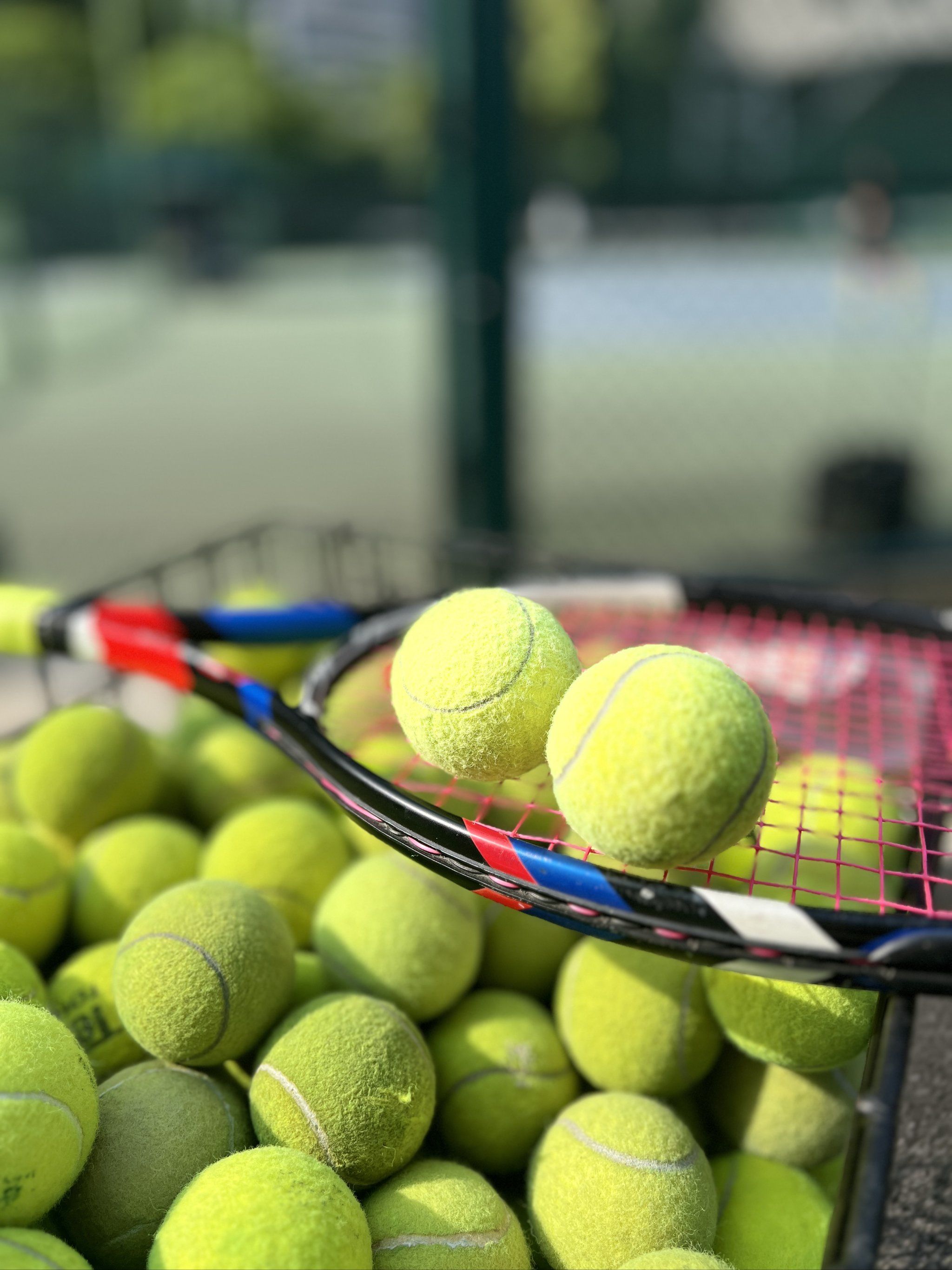 在的风波 在的风波