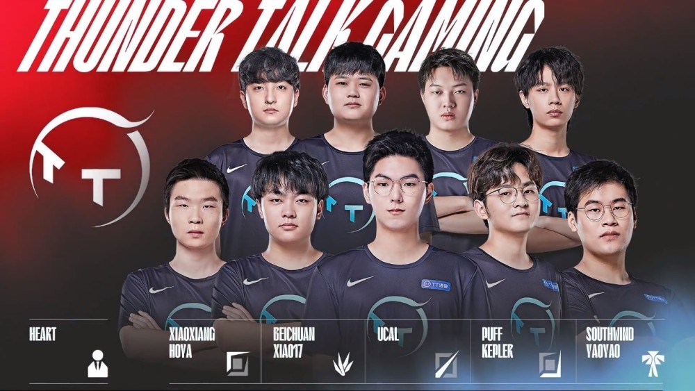 球迷的热情 球迷的热情