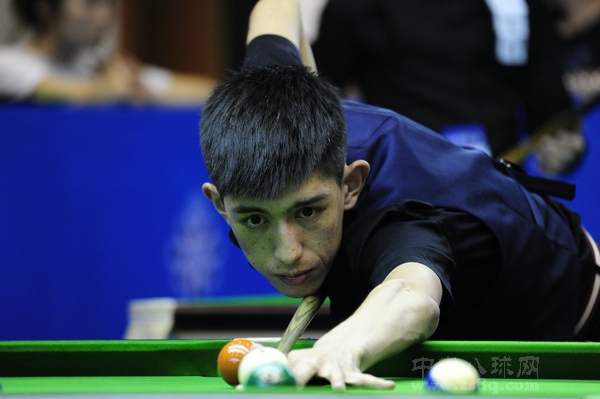 吸附电荷 吸附电荷